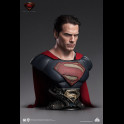 QUEEN STUDIOS - Superman Bust 1/1 Superman Blue Ver. 73 cm