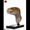 ELITE - Jurassic Park Life-Size Bust Male Velociraptor 75 cm